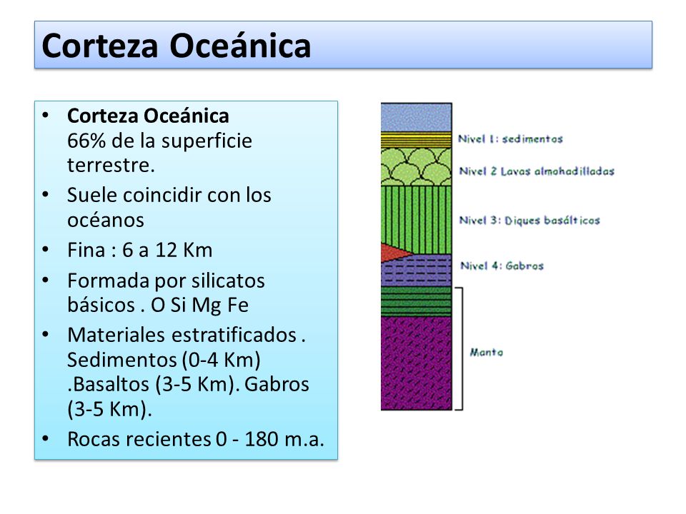 Corteza Oceánica Corteza Oceánica 66% de la superficie terrestre.