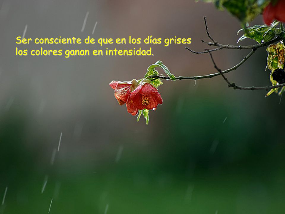 Ser consciente de que en los días grises los colores ganan en intensidad.