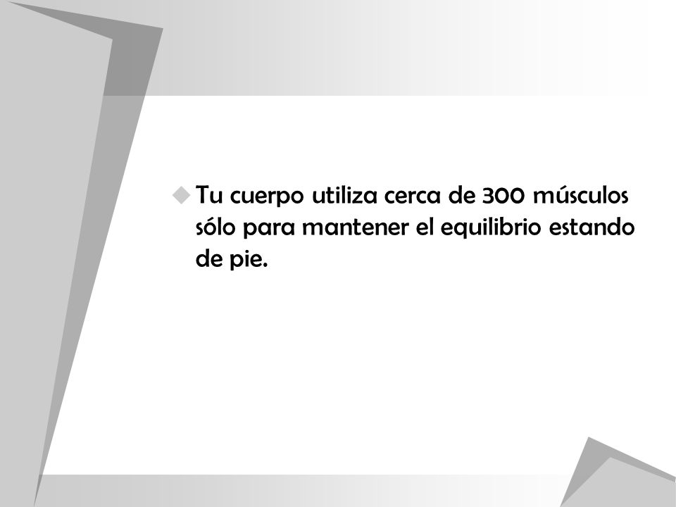 Tu cuerpo utiliza cerca de 300 músculos sólo para mantener el equilibrio estando de pie.