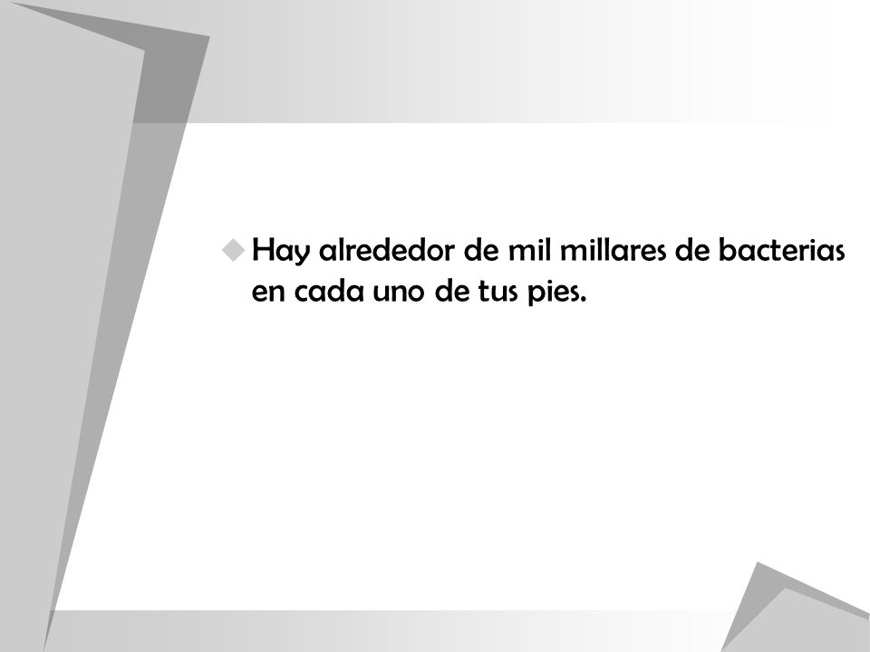 Hay alrededor de mil millares de bacterias en cada uno de tus pies.