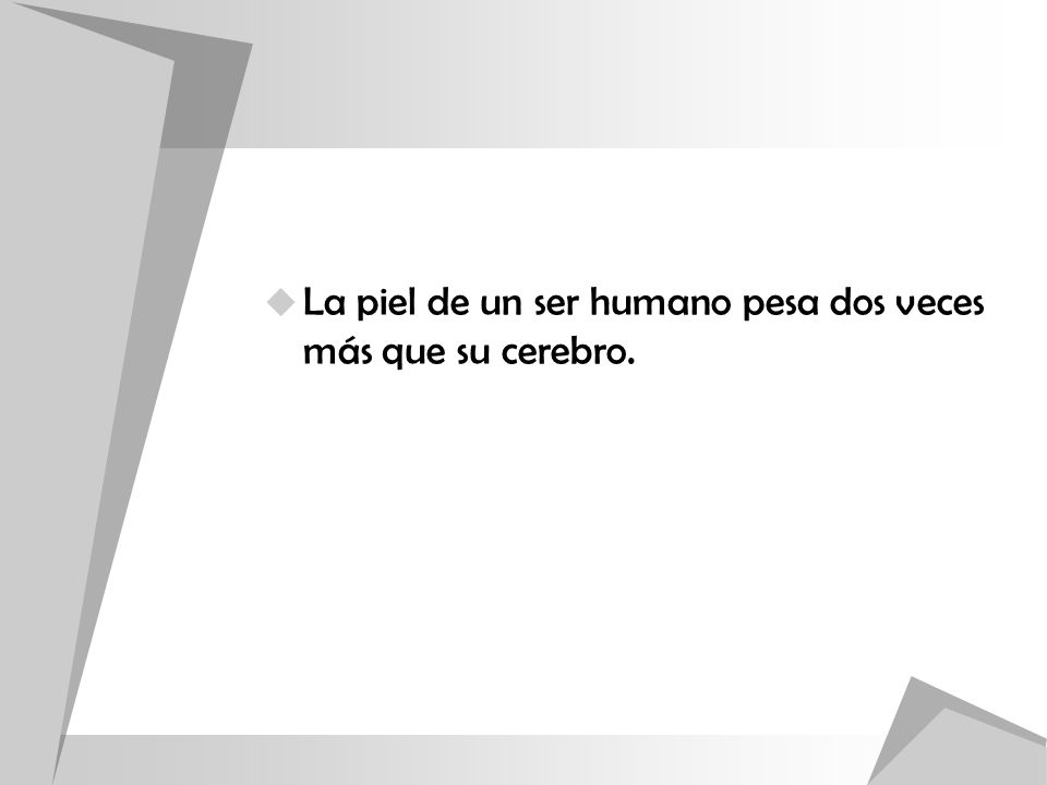 La piel de un ser humano pesa dos veces más que su cerebro.