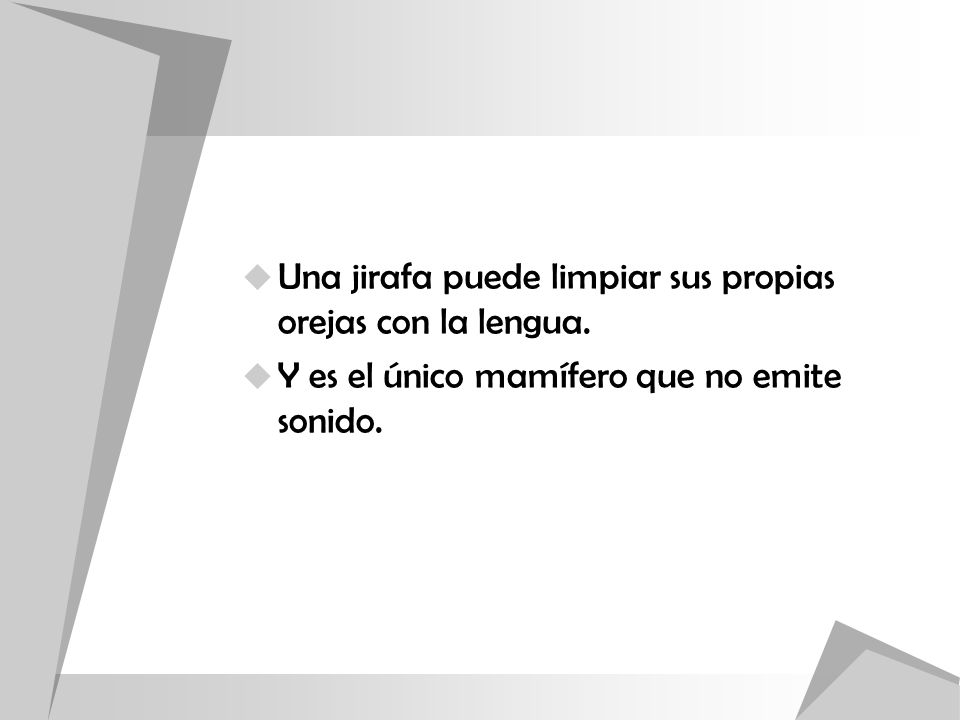 Una jirafa puede limpiar sus propias orejas con la lengua.