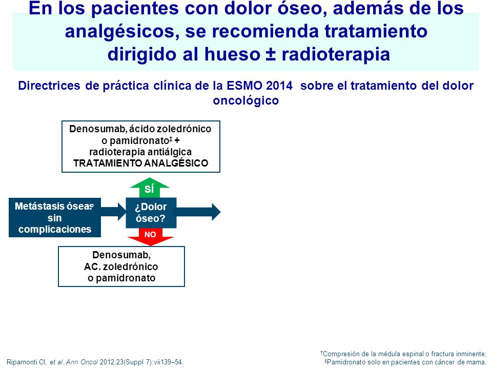 En los pacientes con dolor óseo, además de los analgésicos, se recomienda tratamiento dirigido al hueso ± radioterapia