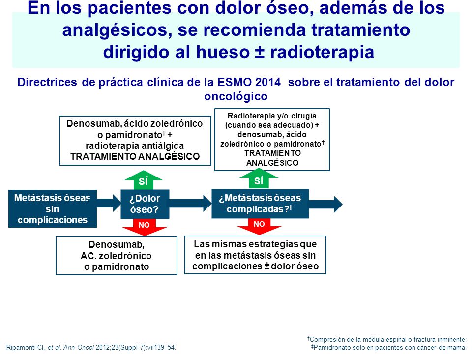 En los pacientes con dolor óseo, además de los analgésicos, se recomienda tratamiento dirigido al hueso ± radioterapia