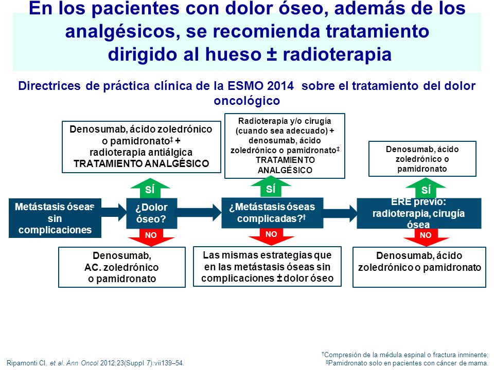 En los pacientes con dolor óseo, además de los analgésicos, se recomienda tratamiento dirigido al hueso ± radioterapia