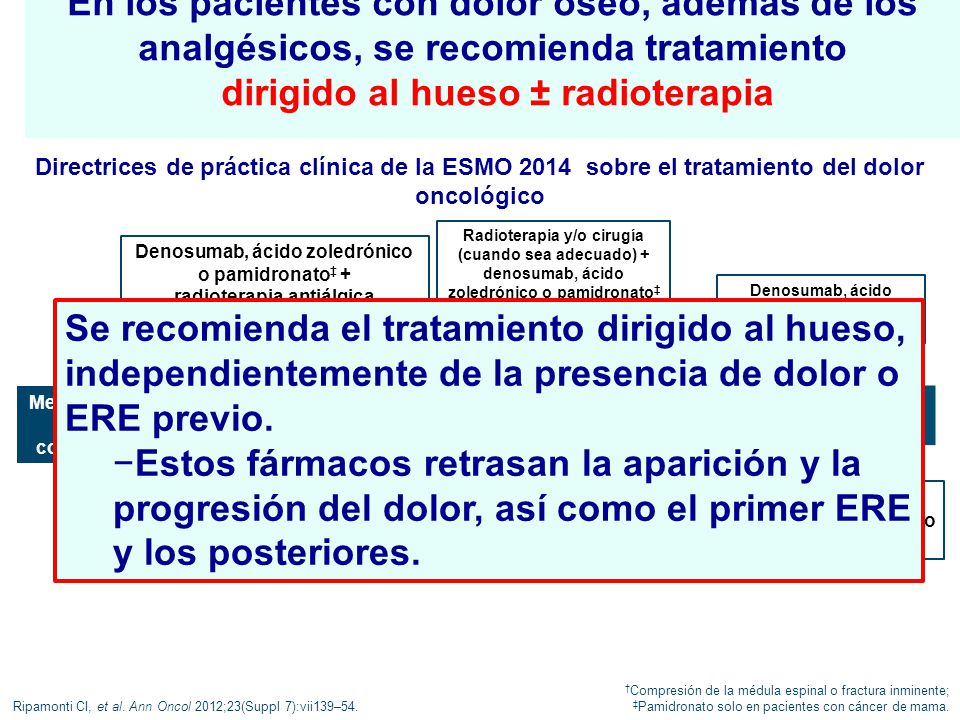 En los pacientes con dolor óseo, además de los analgésicos, se recomienda tratamiento dirigido al hueso ± radioterapia