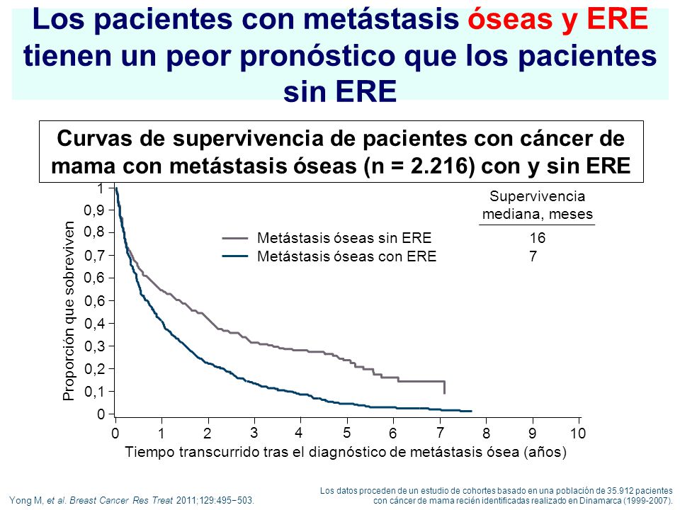 Los pacientes con metástasis óseas y ERE tienen un peor pronóstico que los pacientes sin ERE