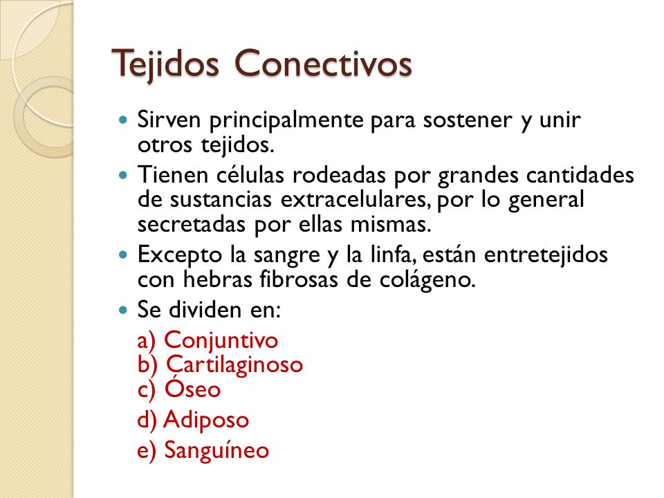 Tejidos Conectivos Sirven principalmente para sostener y unir otros tejidos.