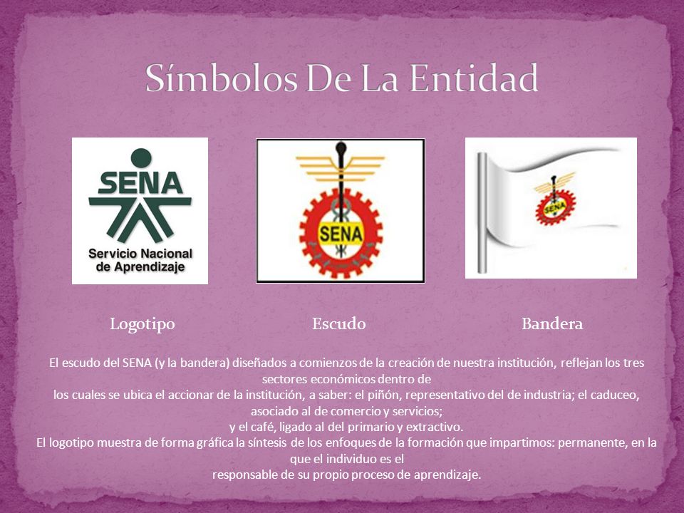 Símbolos De La Entidad Logotipo Escudo Bandera