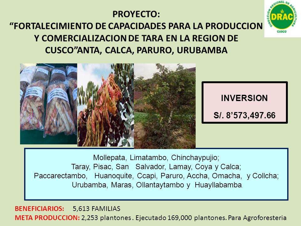 PROYECTO: FORTALECIMIENTO DE CAPACIDADES PARA LA PRODUCCION Y COMERCIALIZACION DE TARA EN LA REGION DE CUSCO ANTA, CALCA, PARURO, URUBAMBA.