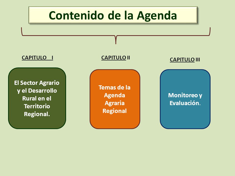 Contenido de la Agenda CAPITULO I. CAPITULO II. CAPITULO III. El Sector Agrario y el Desarrollo Rural en el Territorio Regional.