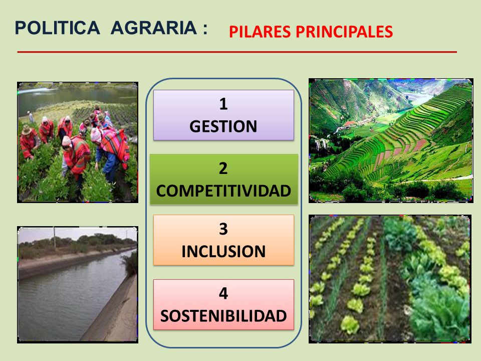 PILARES PRINCIPALES POLITICA AGRARIA : 1 GESTION 2 COMPETITIVIDAD 3