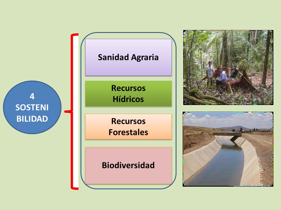 Sanidad Agraria 4 SOSTENIBILIDAD Recursos Hídricos Recursos Forestales Biodiversidad