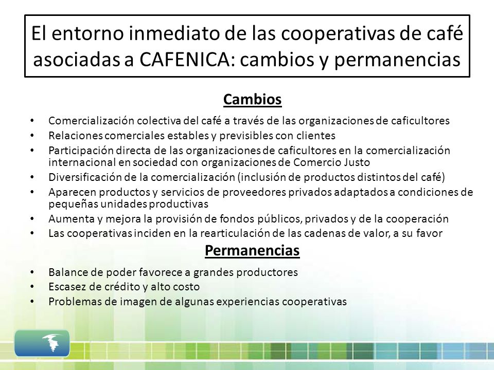 El entorno inmediato de las cooperativas de café asociadas a CAFENICA: cambios y permanencias