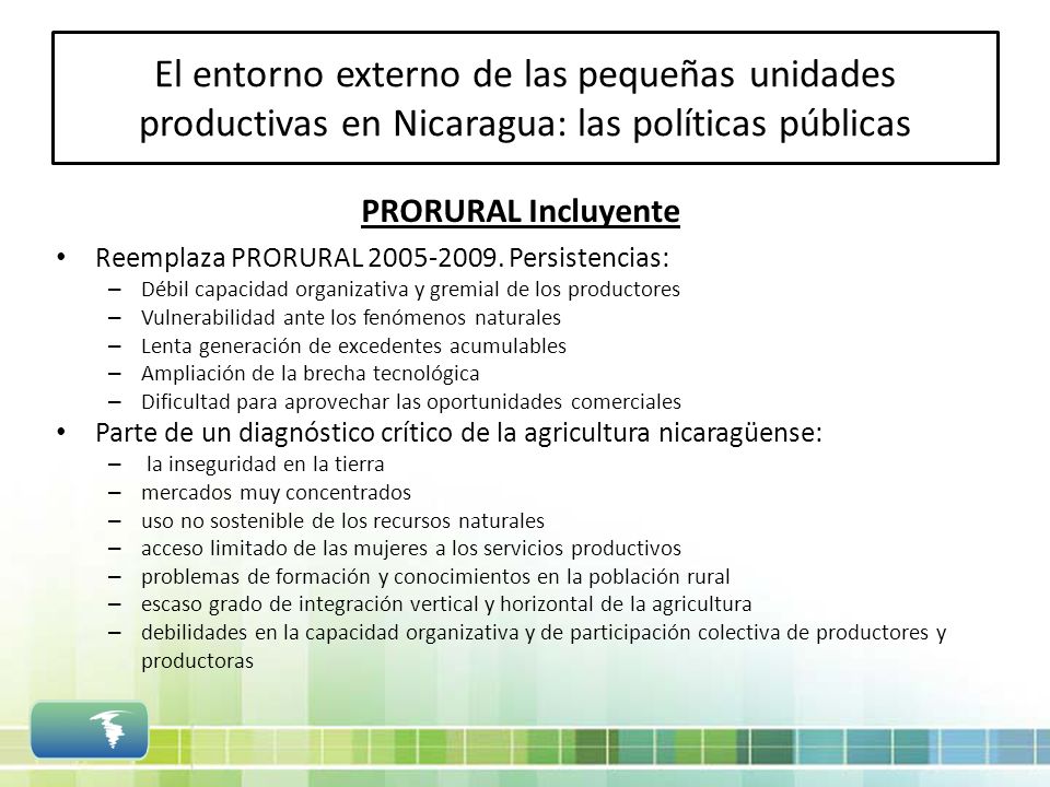 El entorno externo de las pequeñas unidades productivas en Nicaragua: las políticas públicas