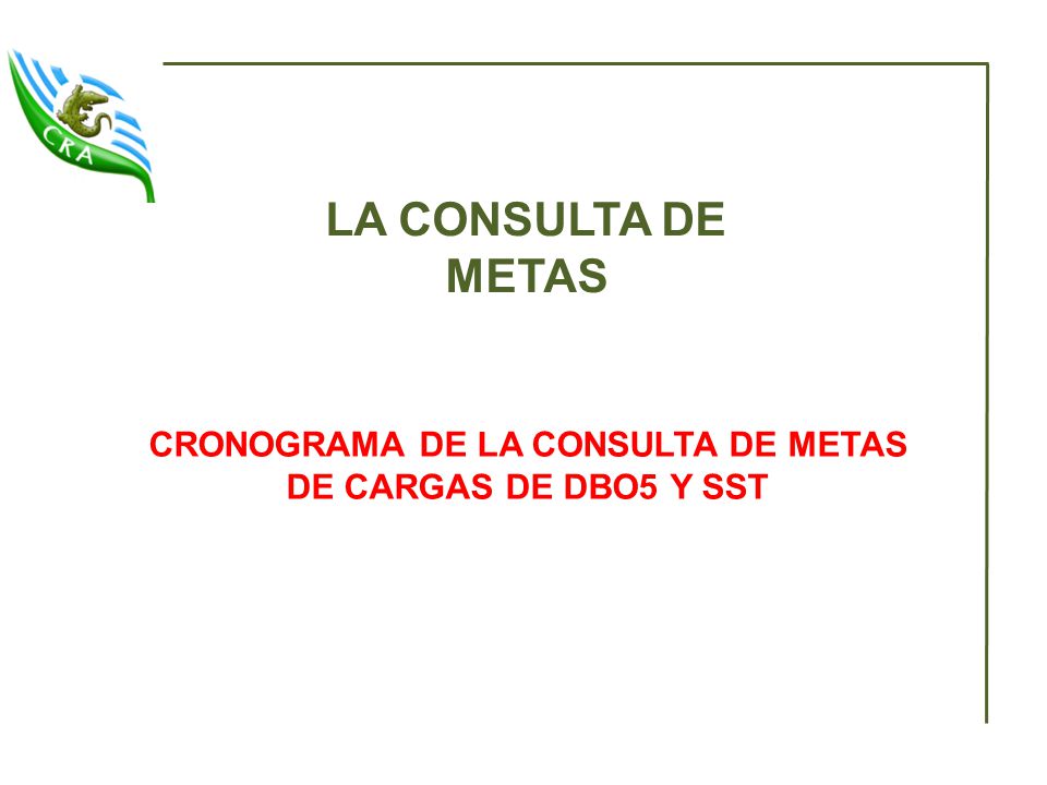 CRONOGRAMA DE LA CONSULTA DE METAS DE CARGAS DE DBO5 Y SST