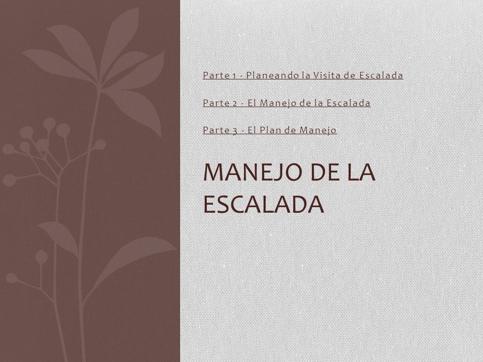 Manejo de la Escalada Parte 1 - Planeando la Visita de Escalada