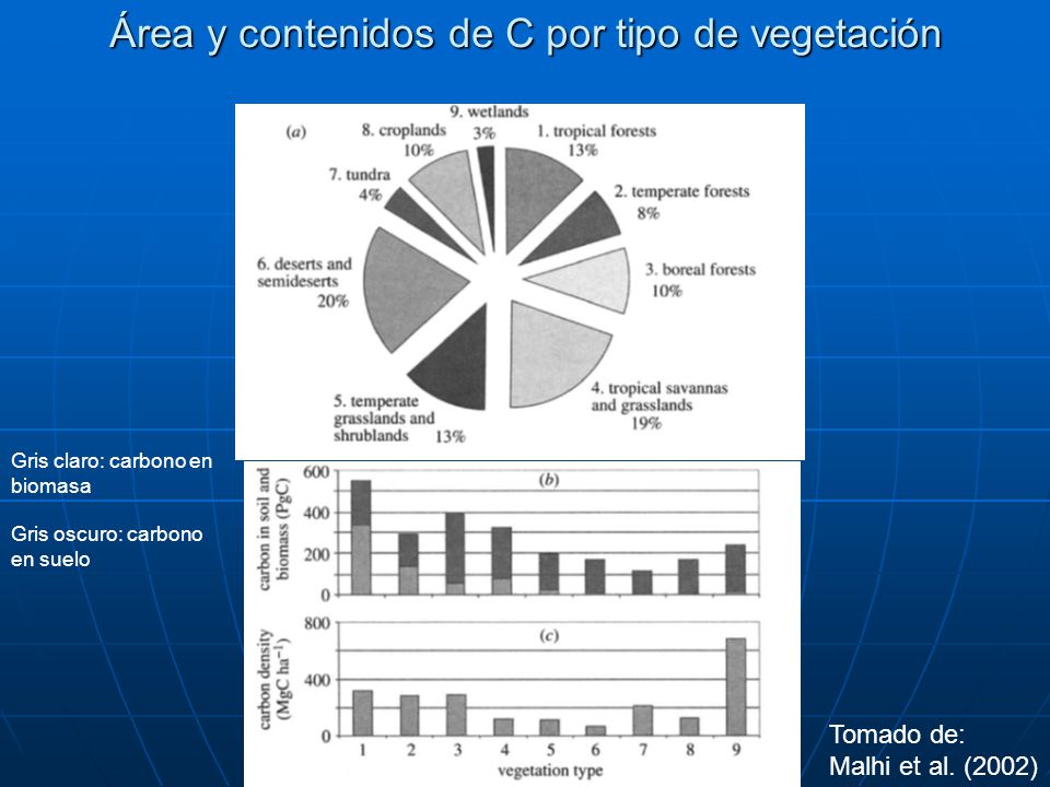 Área y contenidos de C por tipo de vegetación
