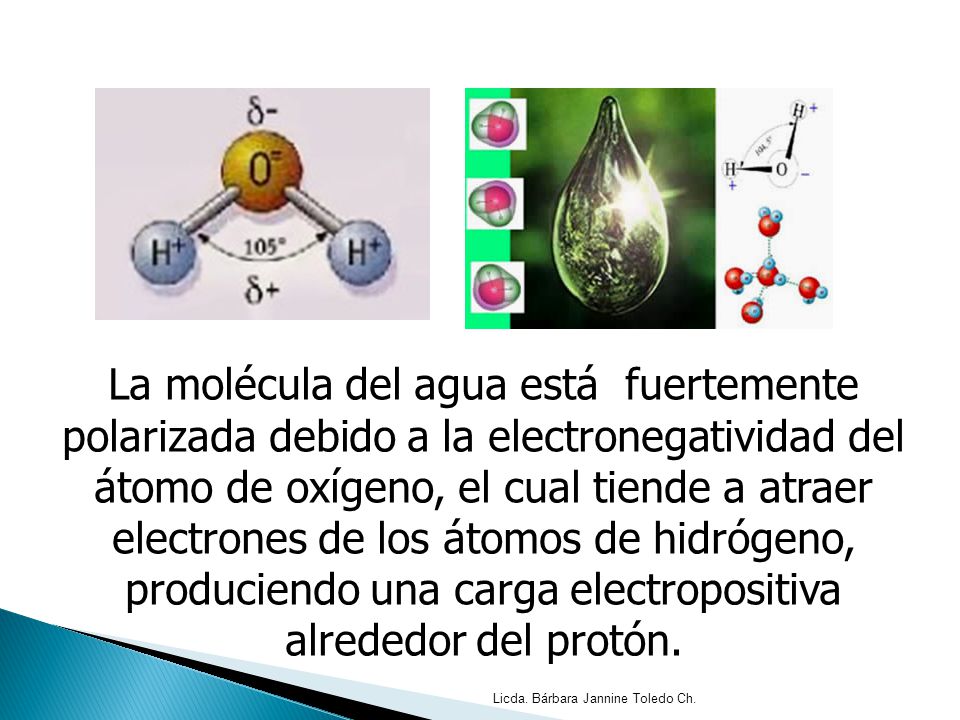 La molécula del agua está fuertemente polarizada debido a la electronegatividad del átomo de oxígeno, el cual tiende a atraer electrones de los átomos de hidrógeno, produciendo una carga electropositiva alrededor del protón.