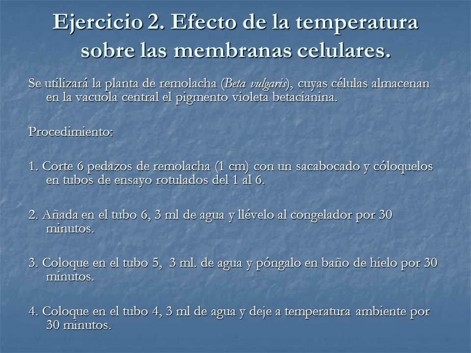 Ejercicio 2. Efecto de la temperatura sobre las membranas celulares.
