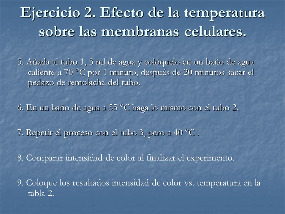 Ejercicio 2. Efecto de la temperatura sobre las membranas celulares.