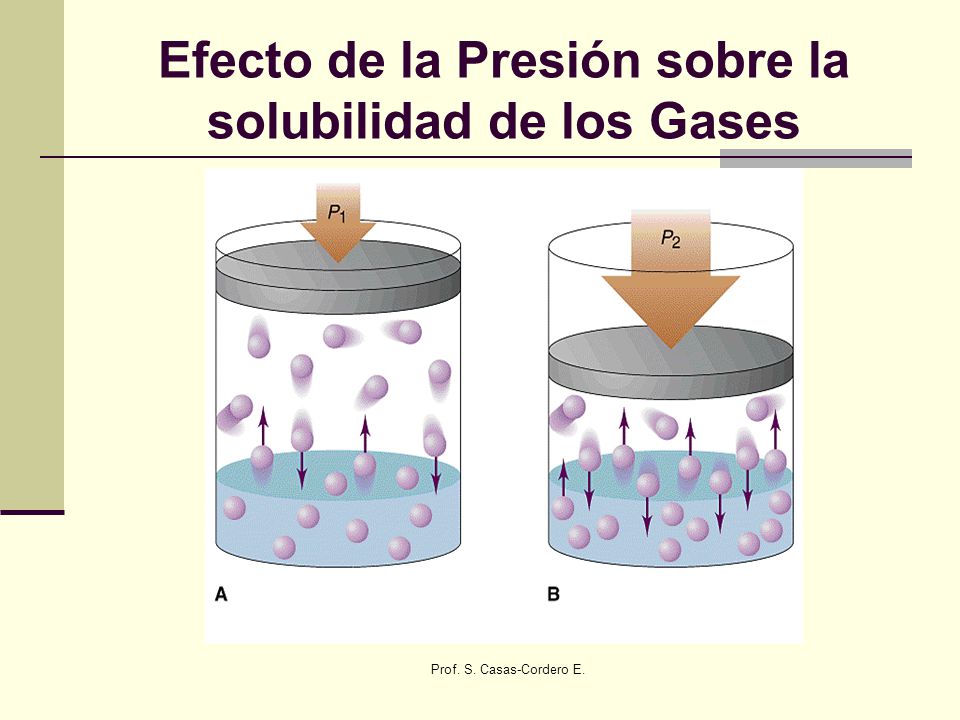 Efecto de la Presión sobre la solubilidad de los Gases