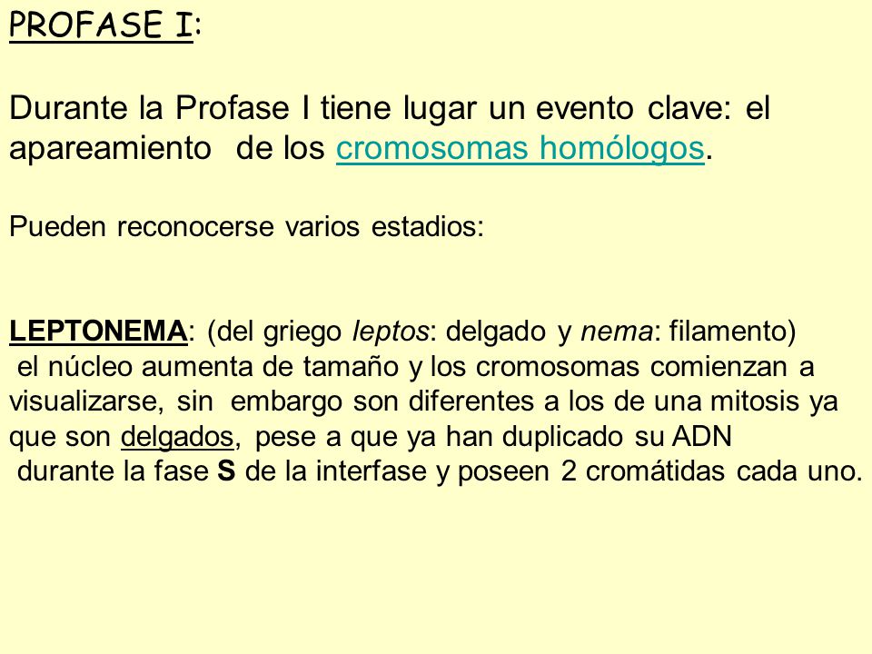 Durante la Profase I tiene lugar un evento clave: el