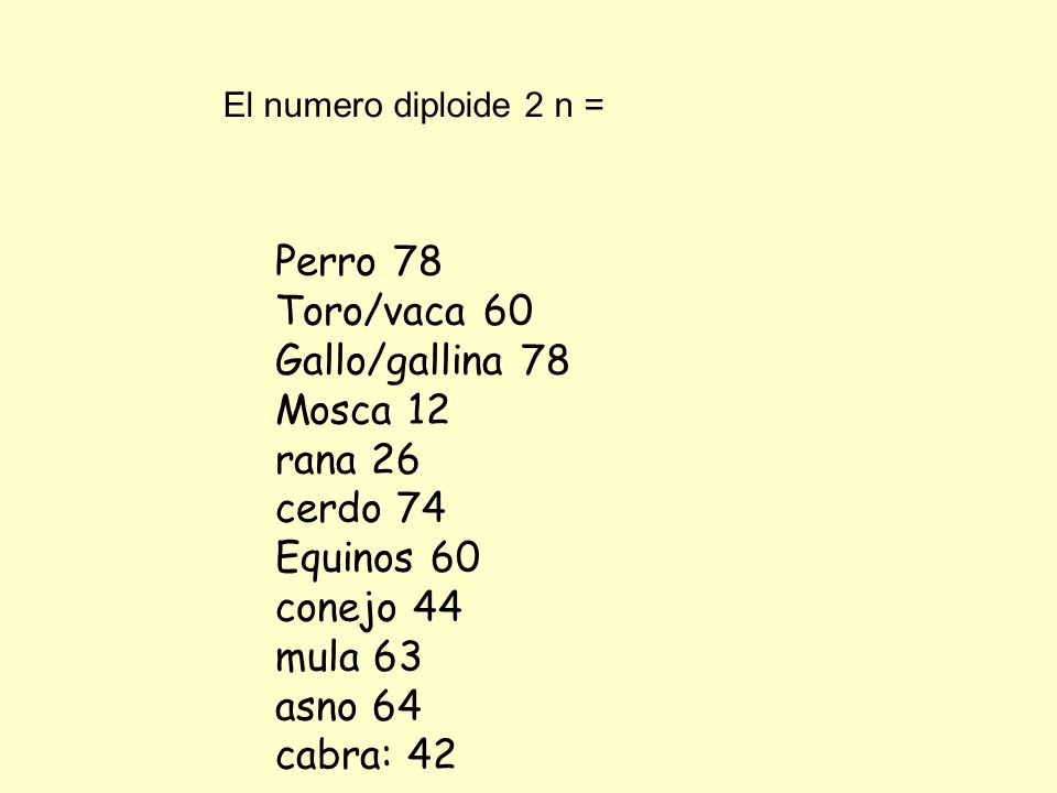 Perro 78 Toro/vaca 60 Gallo/gallina 78 Mosca 12 rana 26 cerdo 74