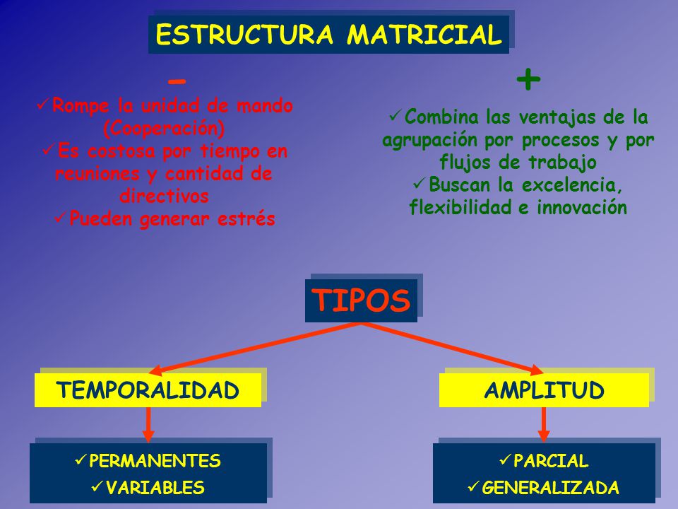 - + TIPOS ESTRUCTURA MATRICIAL TEMPORALIDAD AMPLITUD