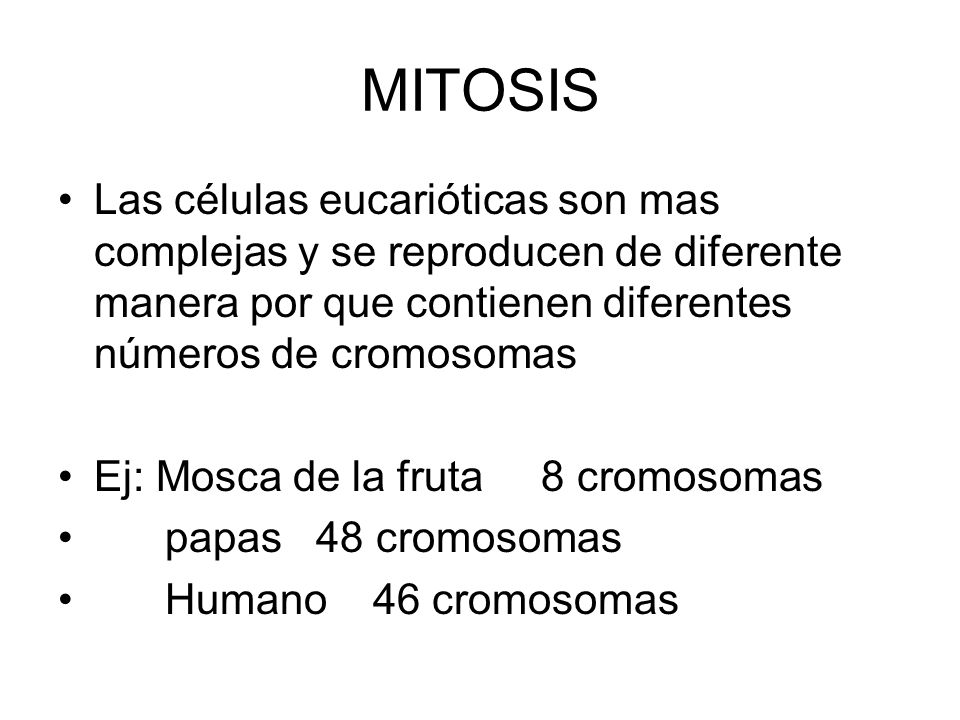 MITOSIS Las células eucarióticas son mas complejas y se reproducen de diferente manera por que contienen diferentes números de cromosomas.