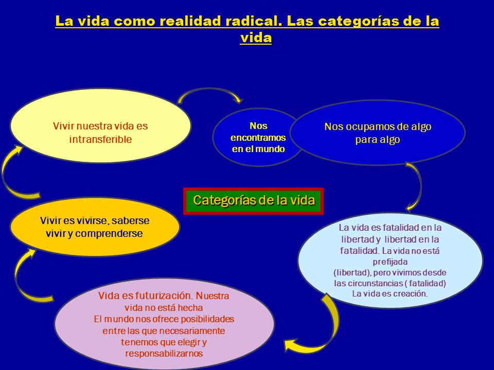 La vida como realidad radical. Las categorías de la vida