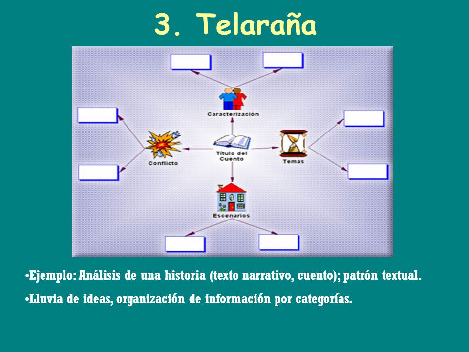 Ejemplo De Organizador Grafico De Telarana Ejemplo Sencillo