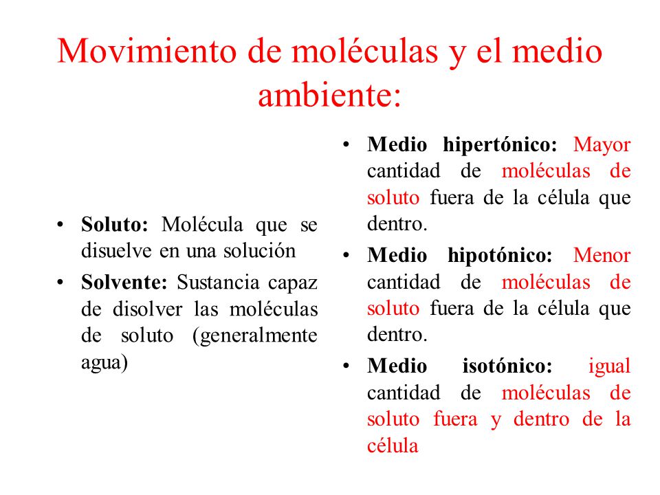 Movimiento de moléculas y el medio ambiente: