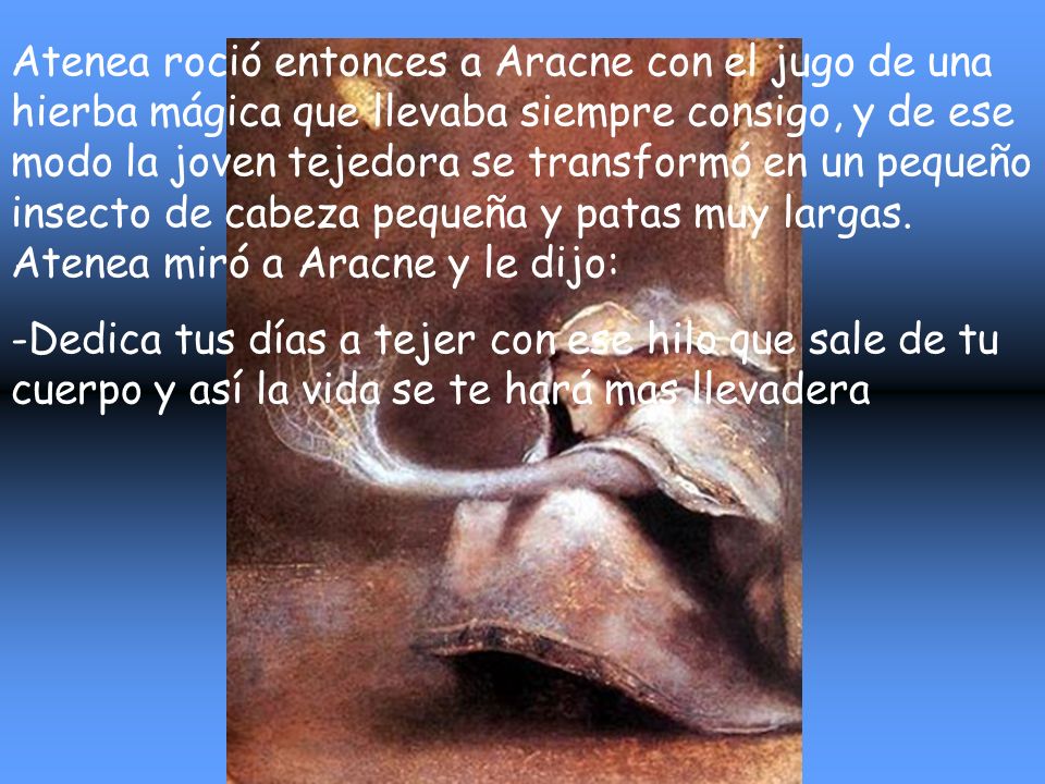 Atenea roció entonces a Aracne con el jugo de una hierba mágica que llevaba siempre consigo, y de ese modo la joven tejedora se transformó en un pequeño insecto de cabeza pequeña y patas muy largas. Atenea miró a Aracne y le dijo: