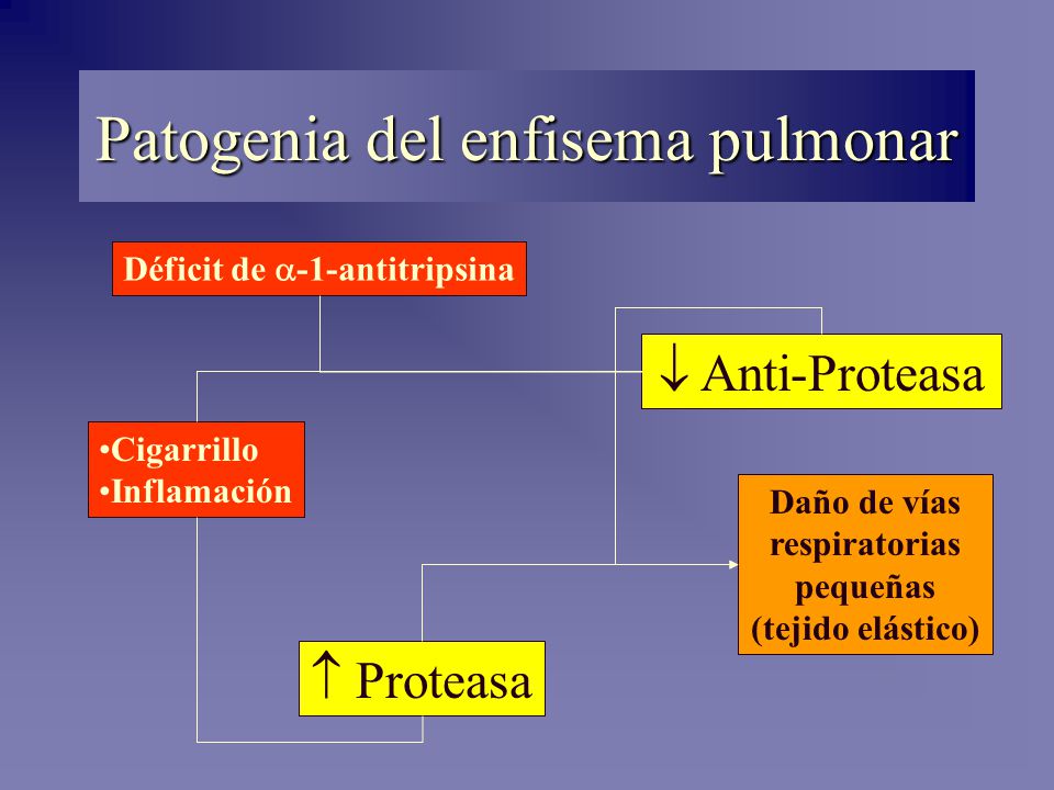 Patogenia del enfisema pulmonar