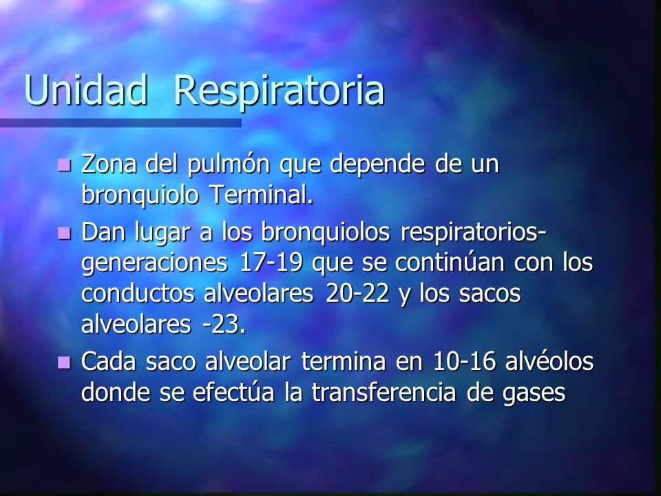 Unidad Respiratoria Zona del pulmón que depende de un bronquiolo Terminal.