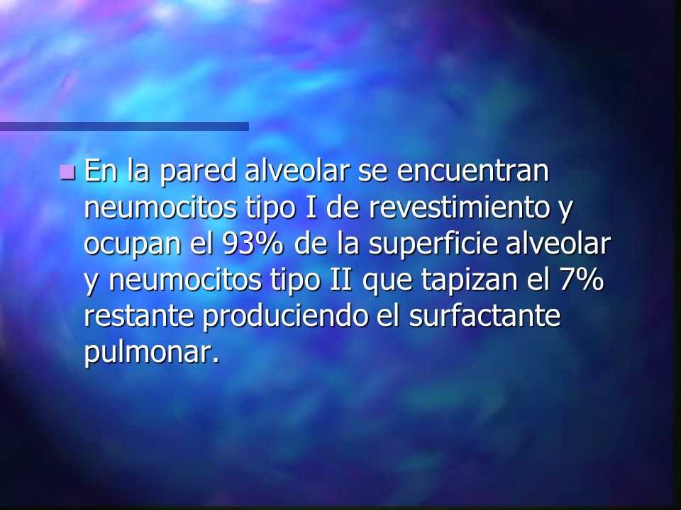 En la pared alveolar se encuentran neumocitos tipo I de revestimiento y ocupan el 93% de la superficie alveolar y neumocitos tipo II que tapizan el 7% restante produciendo el surfactante pulmonar.