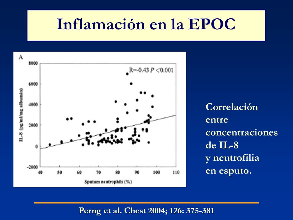 Inflamación en la EPOC Correlación entre concentraciones de IL-8 y neutrofilia en esputo.