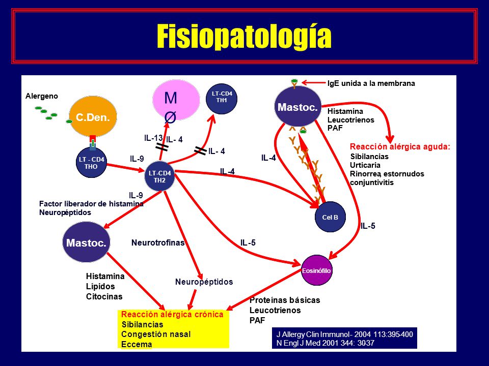 Fisiopatología MØ Y C.Den . Mastoc Reacci ó n al é rgica aguda: IL 4 5