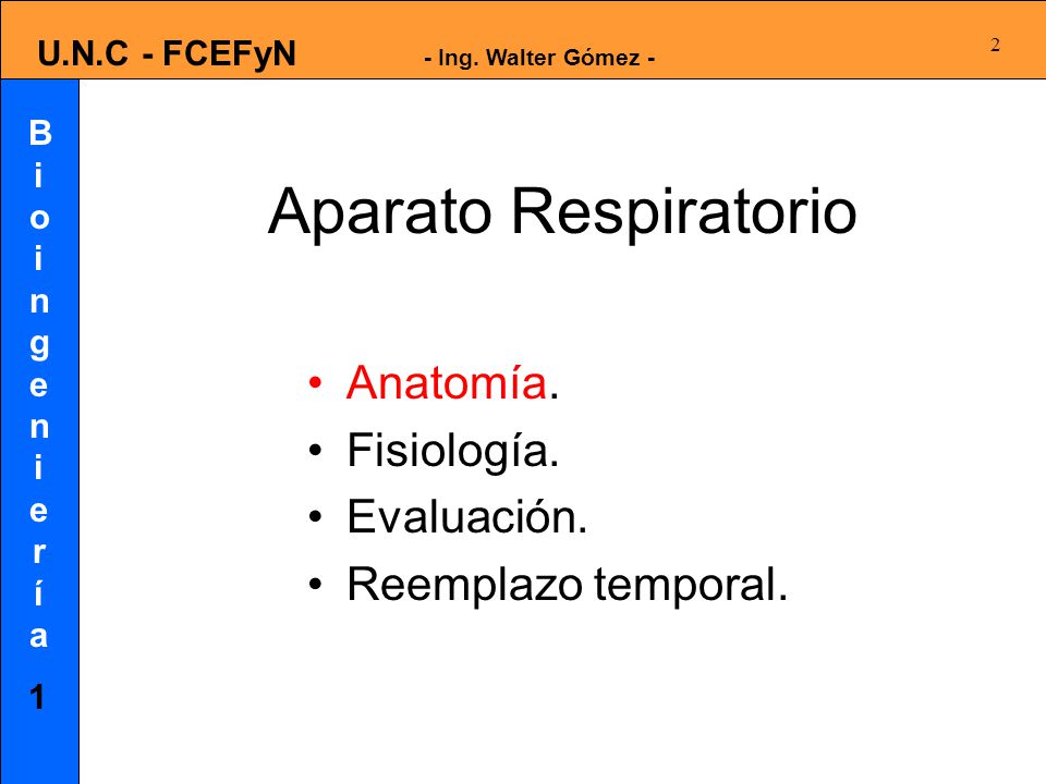 Aparato Respiratorio Anatomía. Fisiología. Evaluación.
