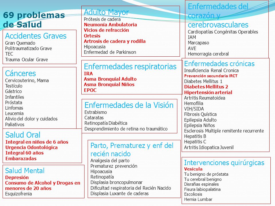 69 problemas de Salud Enfermedades del corazón y cerebrovasculares