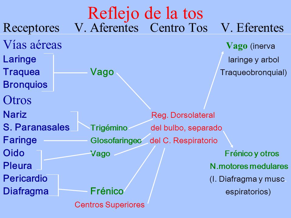 Reflejo de la tos Receptores V. Aferentes Centro Tos V. Eferentes