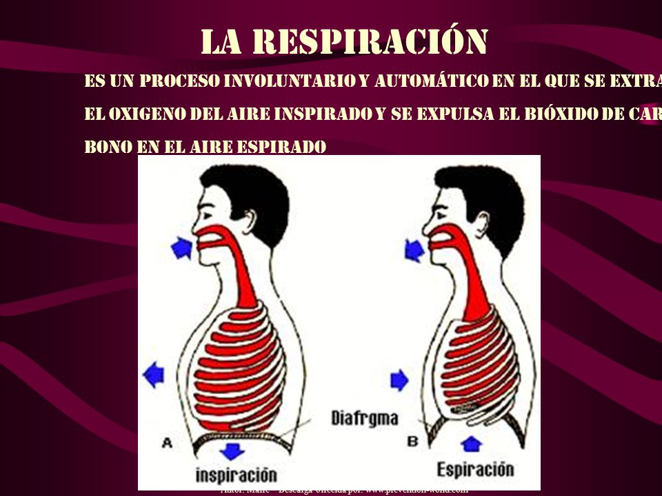 Autor: Marre – Descarga ofrecida por: