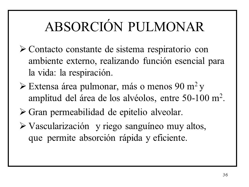 ABSORCIÓN PULMONAR Contacto constante de sistema respiratorio con ambiente externo, realizando función esencial para la vida: la respiración.