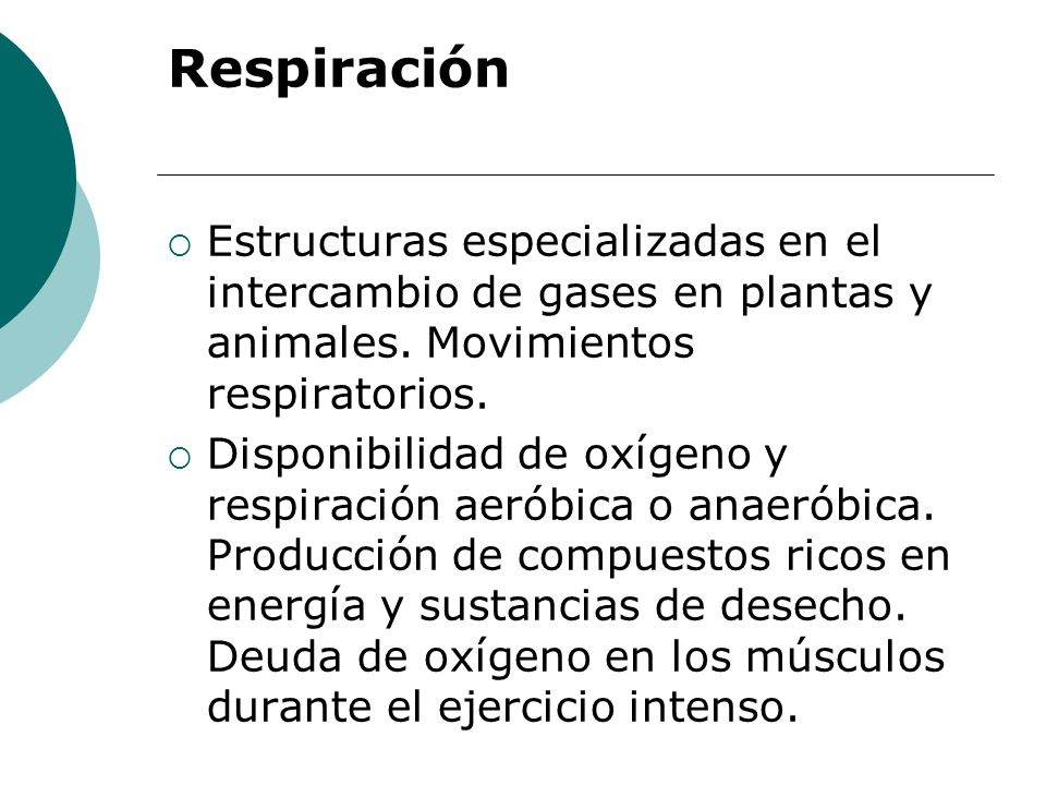 Respiración Estructuras especializadas en el intercambio de gases en plantas y animales. Movimientos respiratorios.