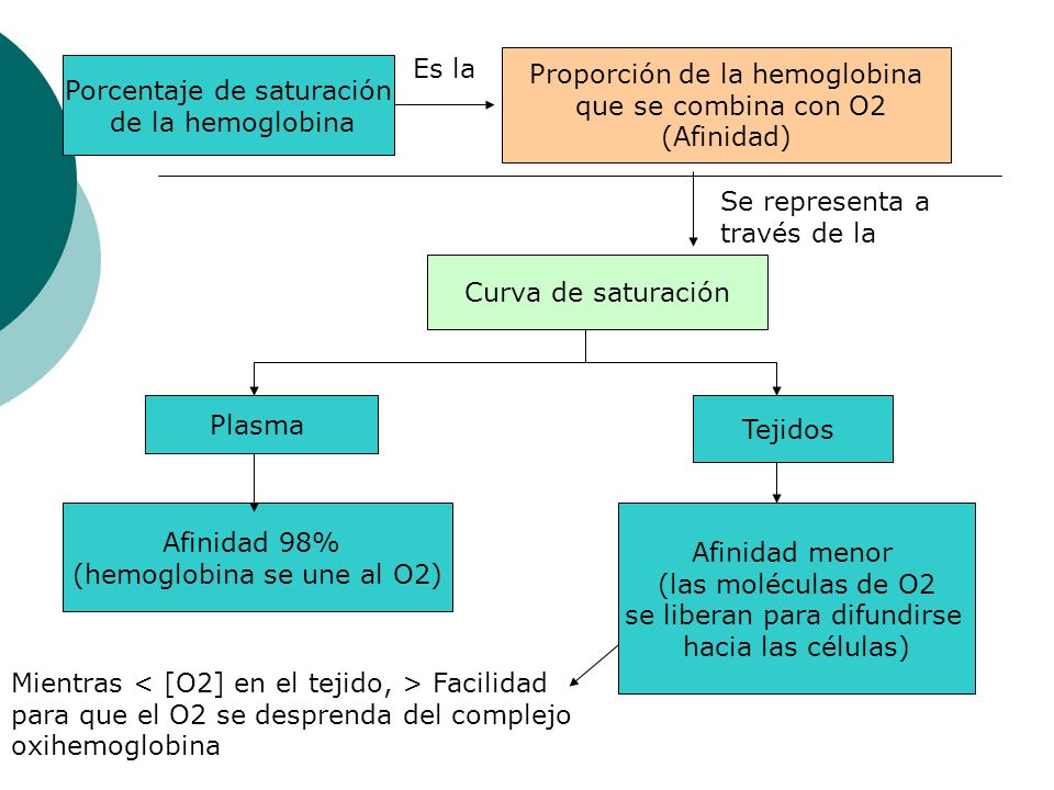 Proporción de la hemoglobina que se combina con O2 (Afinidad)