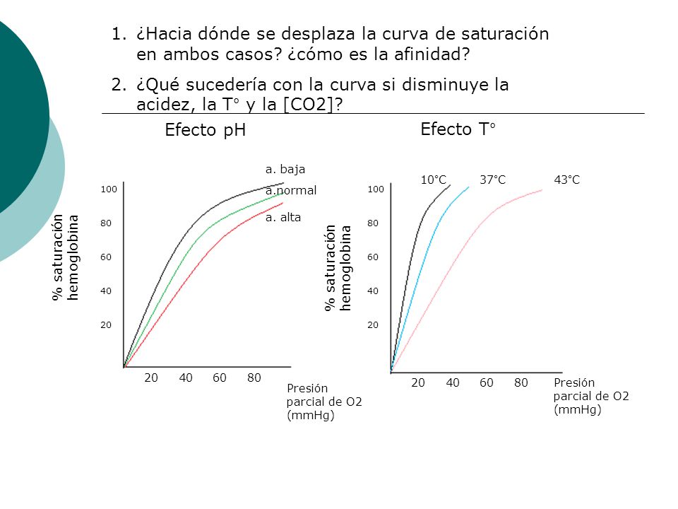 ¿Qué sucedería con la curva si disminuye la acidez, la T° y la [CO2]