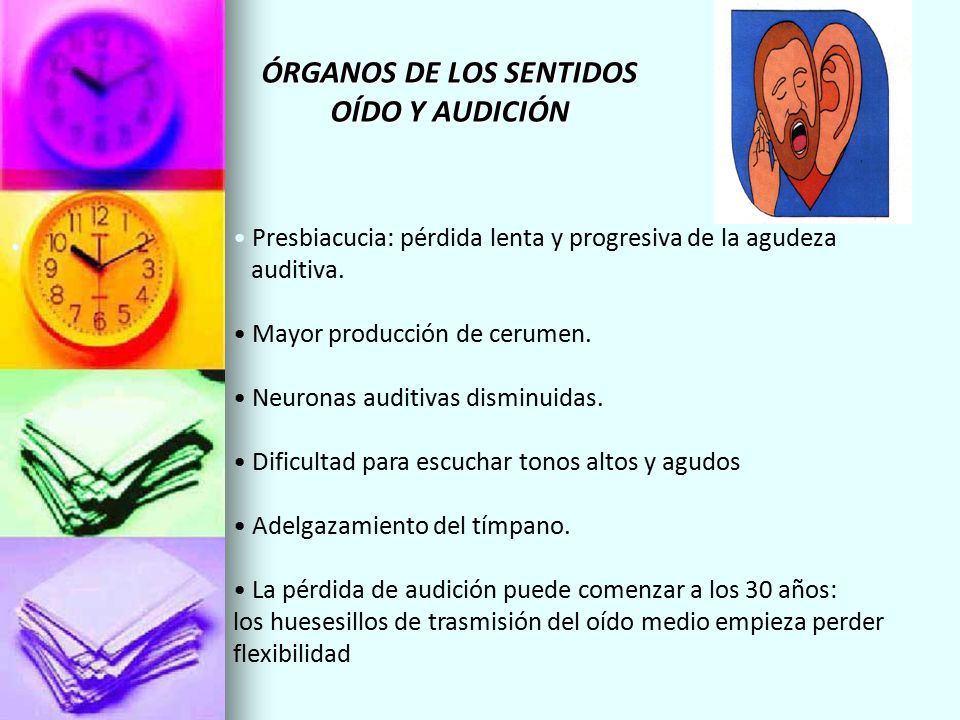 ÓRGANOS DE LOS SENTIDOS OÍDO Y AUDICIÓN