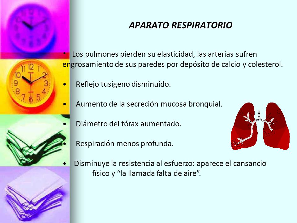 APARATO RESPIRATORIO Los pulmones pierden su elasticidad, las arterias sufren engrosamiento de sus paredes por depósito de calcio y colesterol.