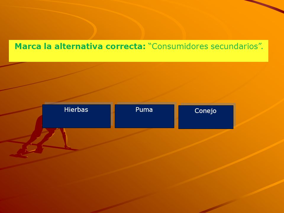 Marca la alternativa correcta: Consumidores secundarios .